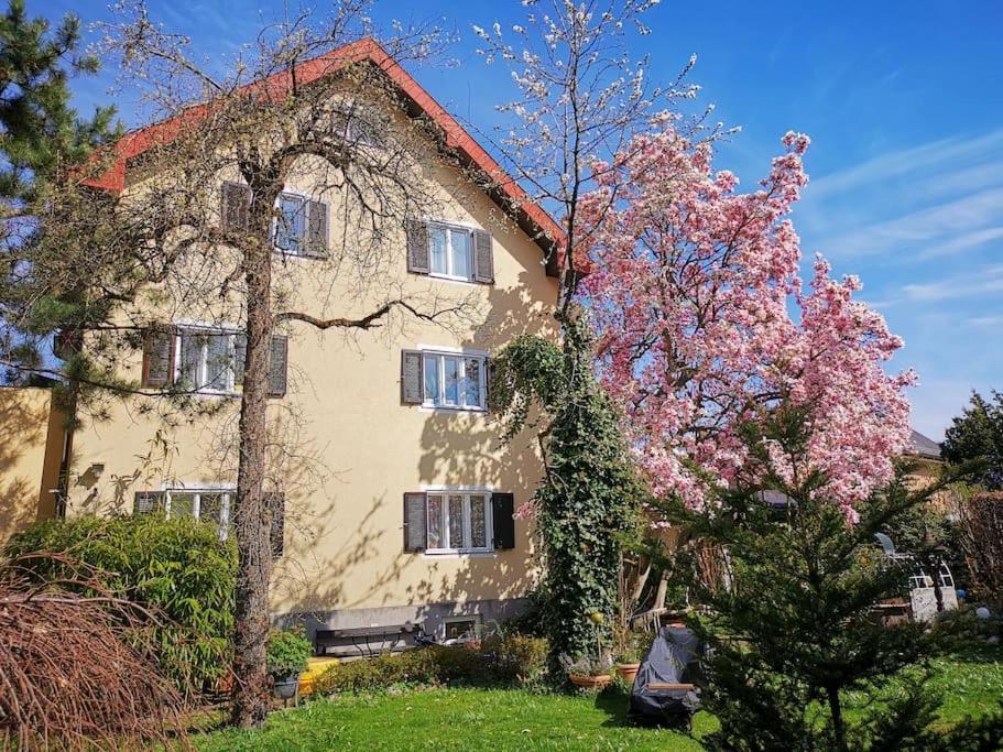 70Qm 3-Zimmer Apartment Am Tauernradweg In Hallein Bei Salzburg, Nahe Berchtesgaden, Rossfeld, Kehlsteinhaus, Obersalzberg, Watzmann, Schoenau Am Koenigsee, Bad Vigaun, Schloss Hellbrunn, Burg Hohen Salzburg, Burg Hohen Werfen # Beherbergungsbetrieb Dış mekan fotoğraf