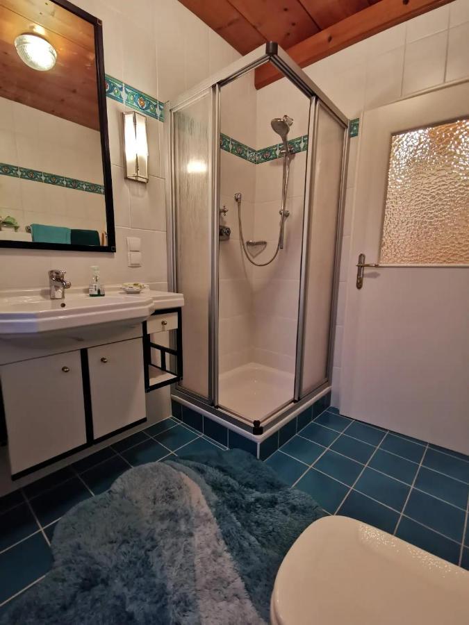 70Qm 3-Zimmer Apartment Am Tauernradweg In Hallein Bei Salzburg, Nahe Berchtesgaden, Rossfeld, Kehlsteinhaus, Obersalzberg, Watzmann, Schoenau Am Koenigsee, Bad Vigaun, Schloss Hellbrunn, Burg Hohen Salzburg, Burg Hohen Werfen # Beherbergungsbetrieb Dış mekan fotoğraf